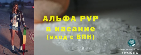 индика Балахна