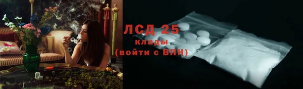 индика Балахна