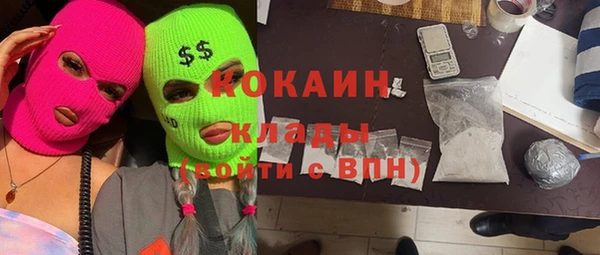индика Балахна
